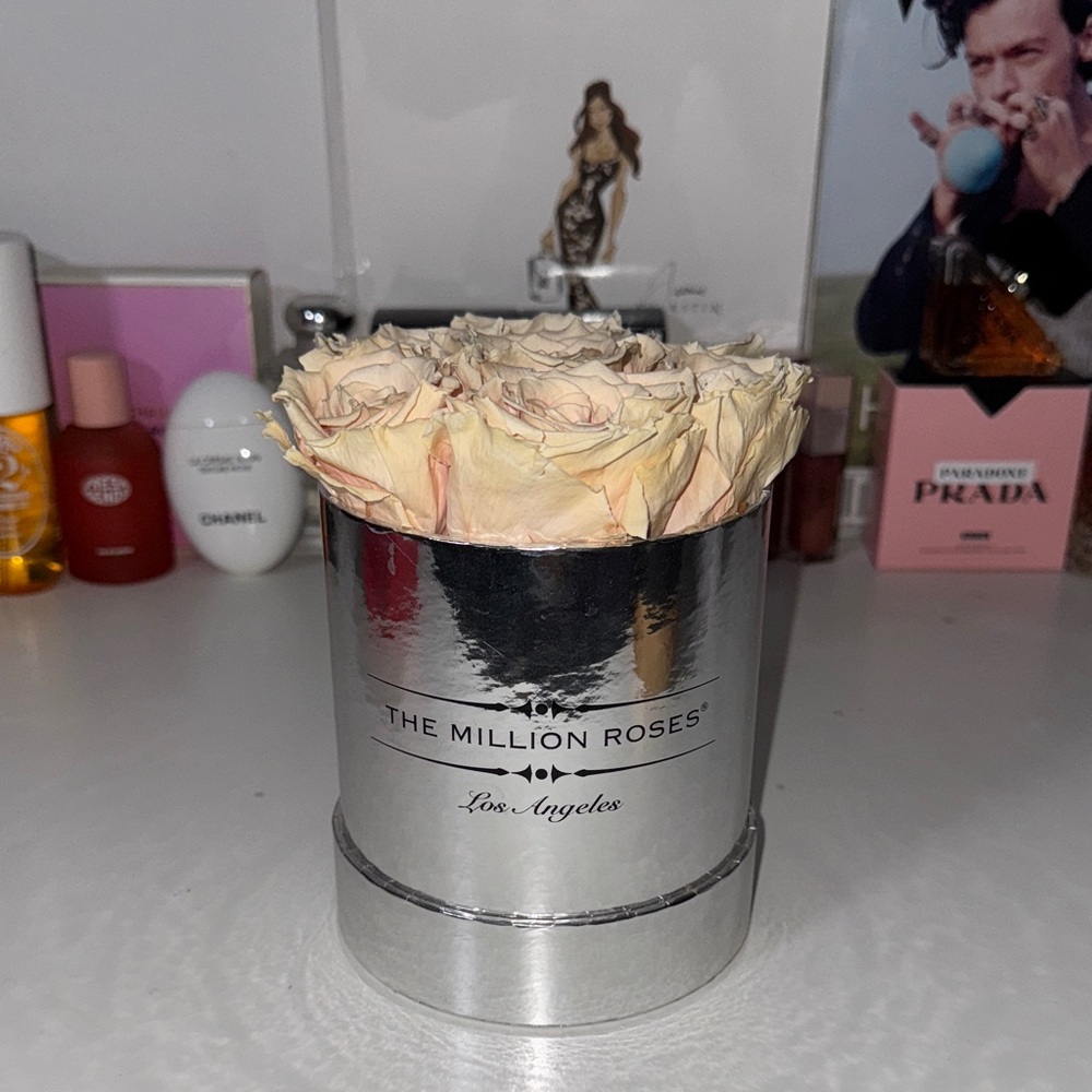 The Million Roses Silver Mirror Box Light Pink Roses Floral Arrangement